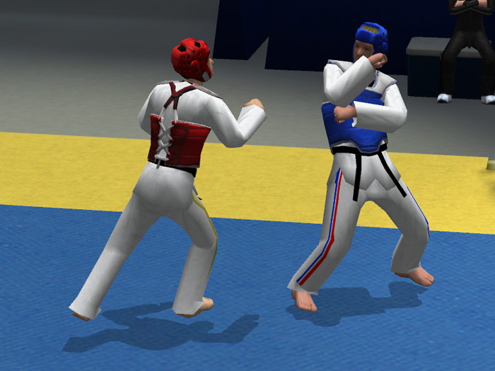 Tae Kwon Do World Champion - screenshot 23
