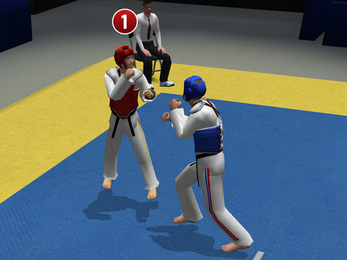 Tae Kwon Do World Champion - screenshot 22