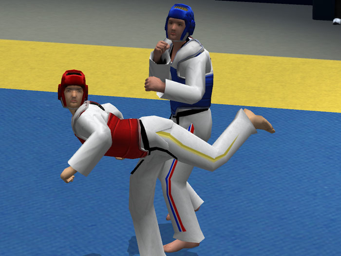 Tae Kwon Do World Champion - screenshot 19