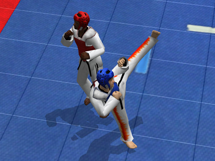 Tae Kwon Do World Champion - screenshot 17