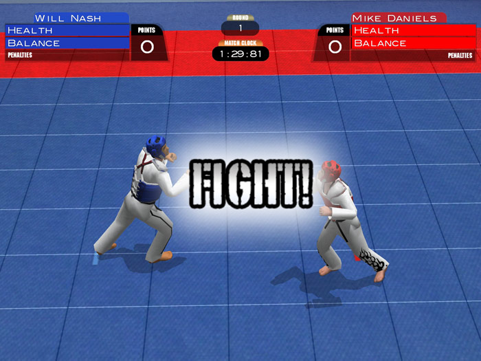 Tae Kwon Do World Champion - screenshot 14