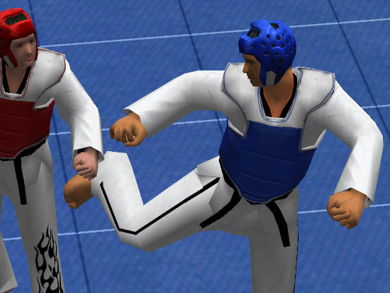 Tae Kwon Do World Champion - screenshot 5