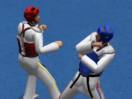 Tae Kwon Do World Champion - screenshot 4
