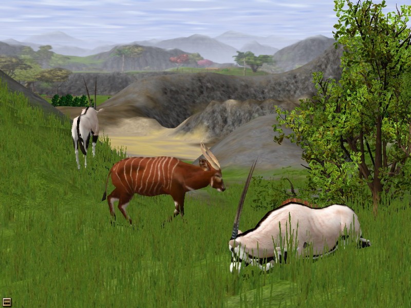 Wildlife Park 2: Gold Edition - screenshot 12