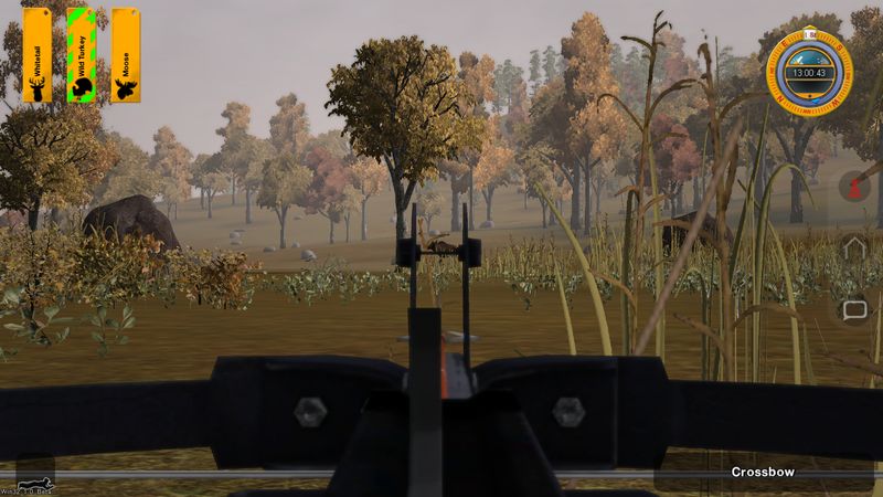 Deer Hunter Tournament - screenshot 165