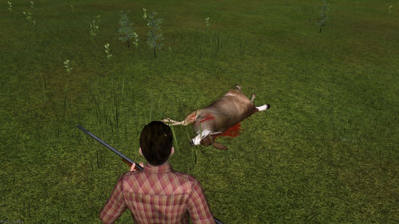 Deer Hunter Tournament - screenshot 43