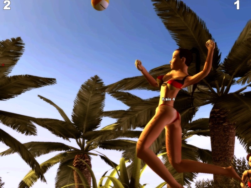 Sunshine Beach Volleyball - screenshot 15