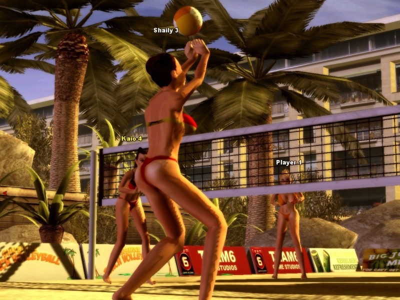 Sunshine Beach Volleyball - screenshot 14