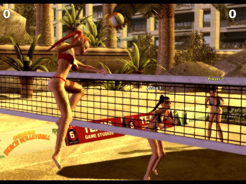 Sunshine Beach Volleyball - screenshot 8