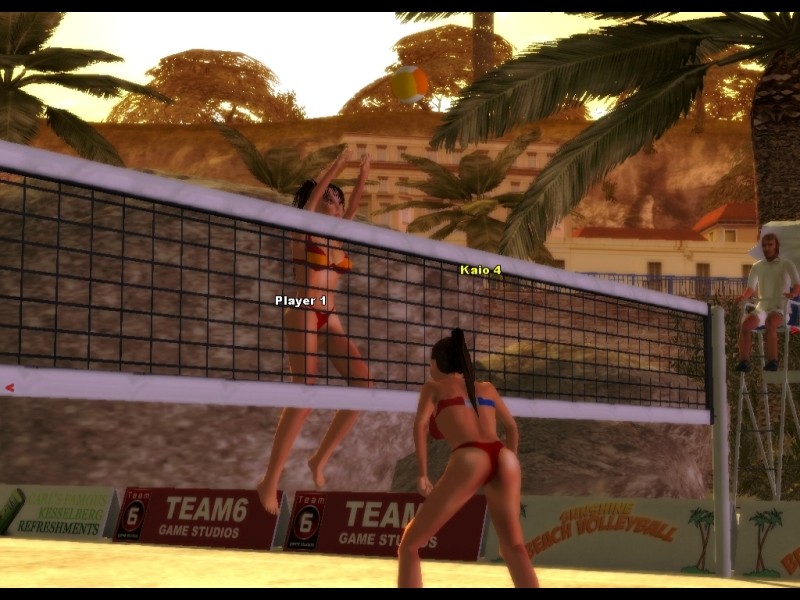 Sunshine Beach Volleyball - screenshot 7