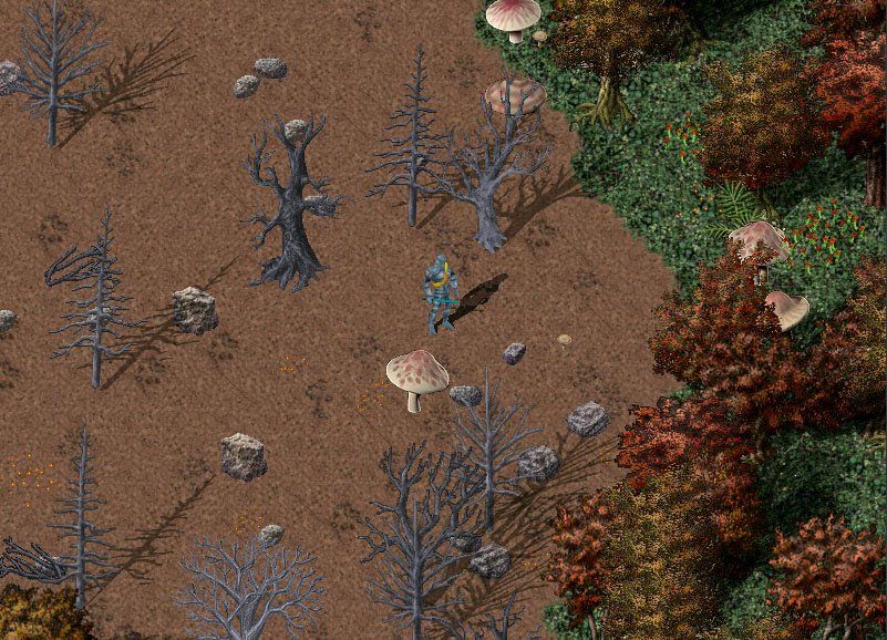 Ultima Online: Age of Shadows - screenshot 11