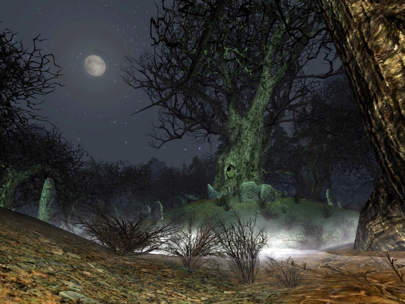 The Lord of the Rings Online: Siege of Mirkwood - screenshot 16