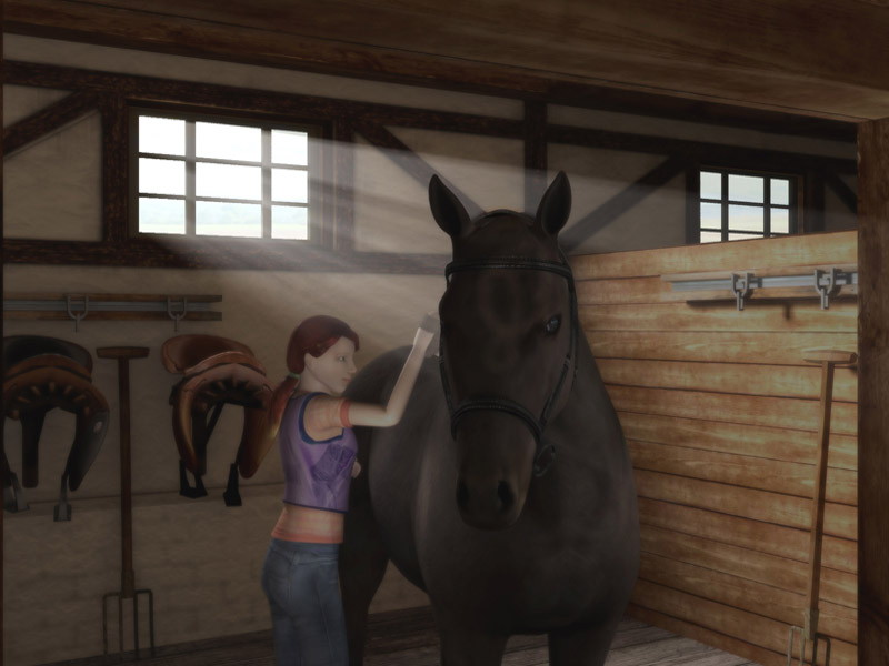 My Riding Stables: Life with horses - screenshot 12