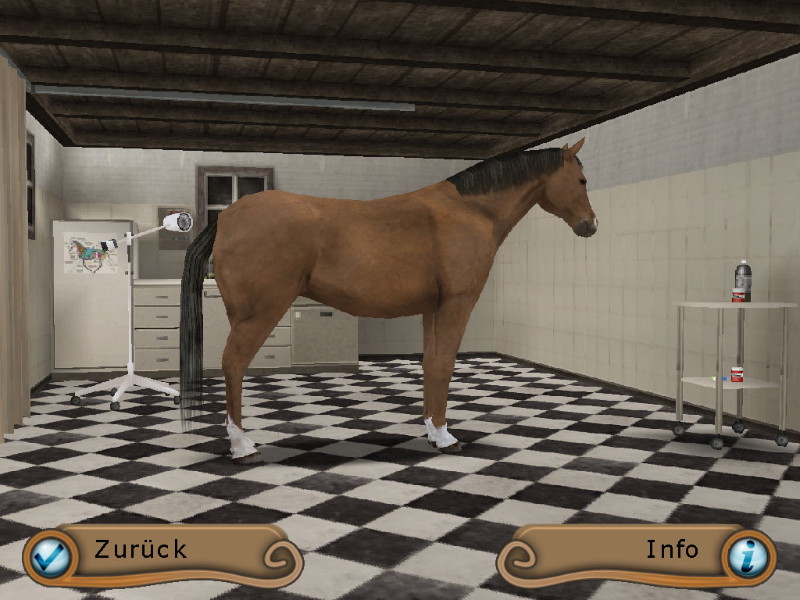 My Riding Stables: Life with horses - screenshot 5