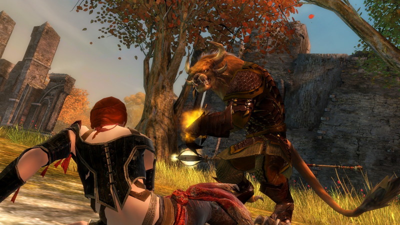 Guild Wars 2 - screenshot 13