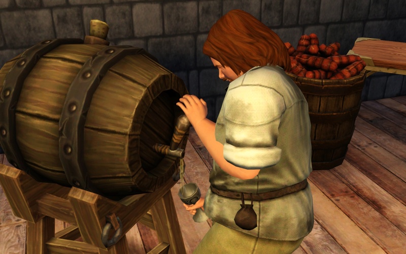 The Sims Medieval - screenshot 42