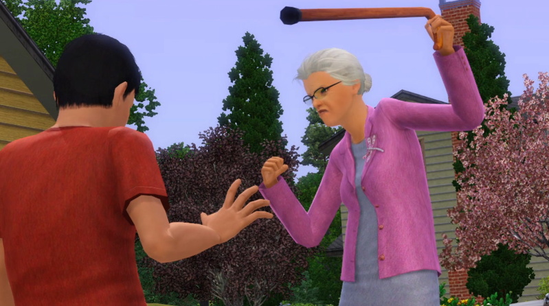 The Sims 3: Generations - screenshot 3