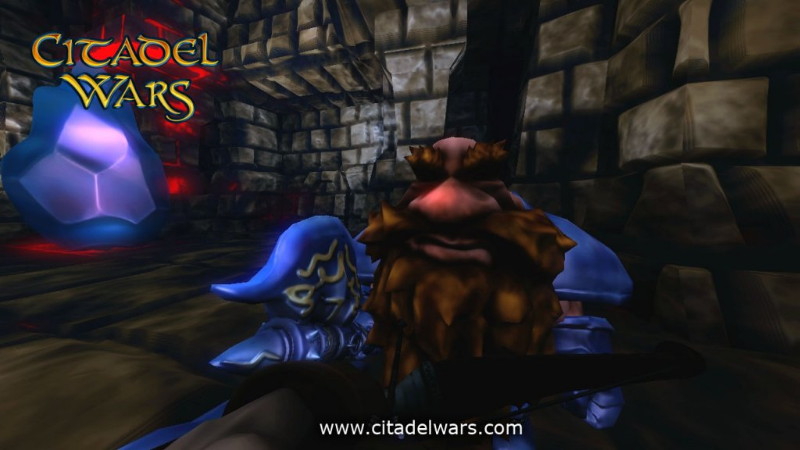 Citadel Wars - screenshot 2