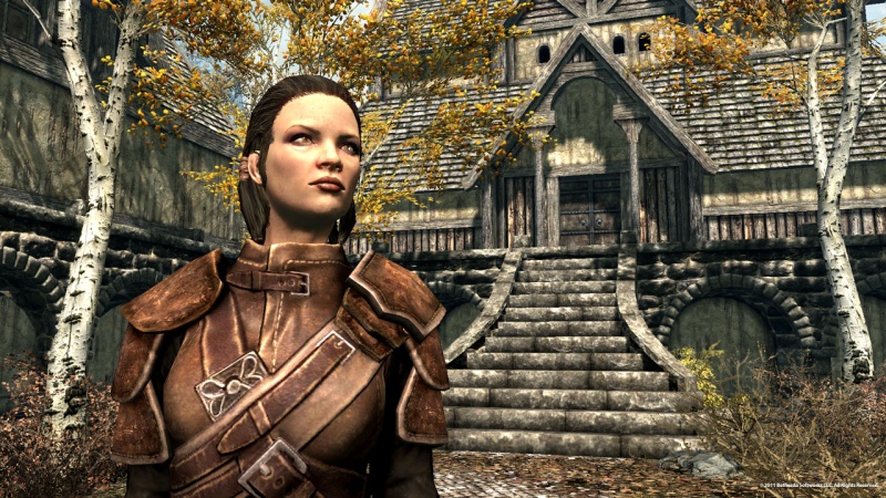The Elder Scrolls 5: Skyrim - screenshot 15