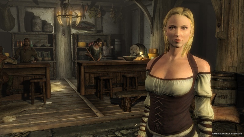The Elder Scrolls 5: Skyrim - screenshot 9