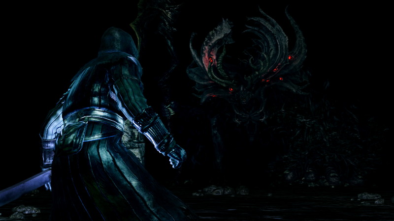 Dark Souls: Prepare To Die Edition - screenshot 14