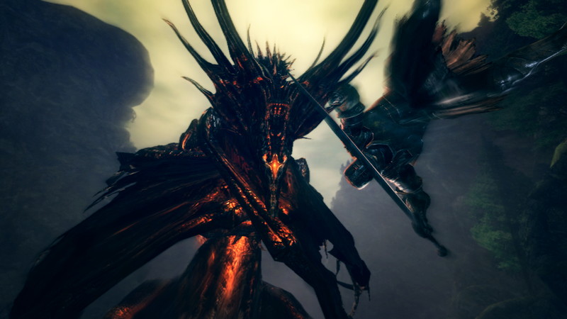 Dark Souls: Prepare To Die Edition - screenshot 11