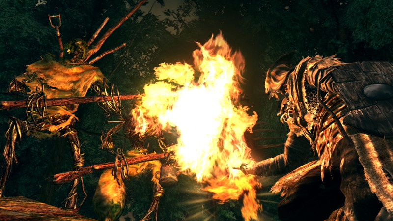 Dark Souls: Prepare To Die Edition - screenshot 9