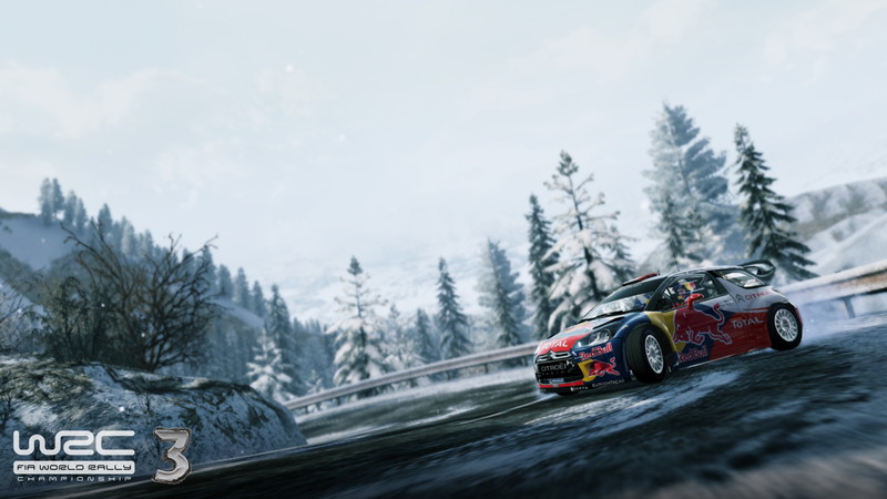 WRC 3 - screenshot 5