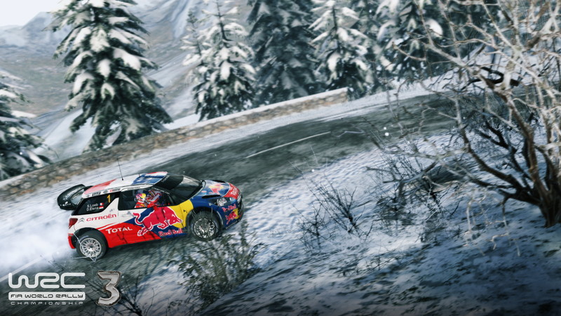 WRC 3 - screenshot 3