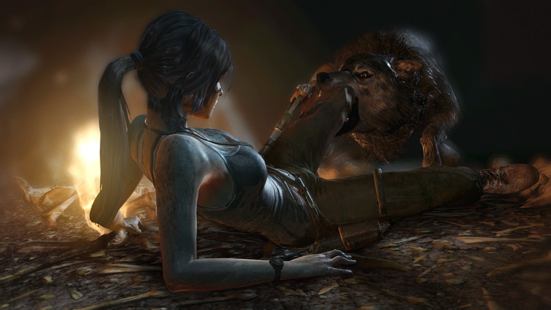 Tomb Raider - screenshot 20