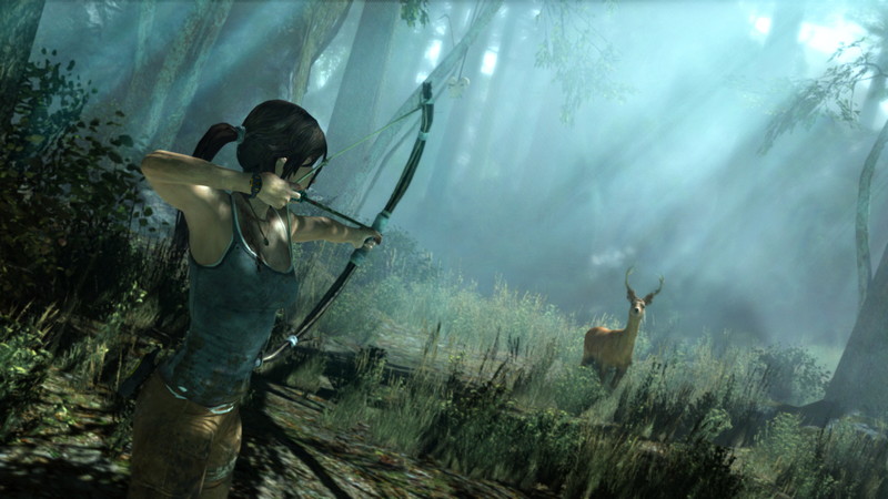 Tomb Raider - screenshot 17