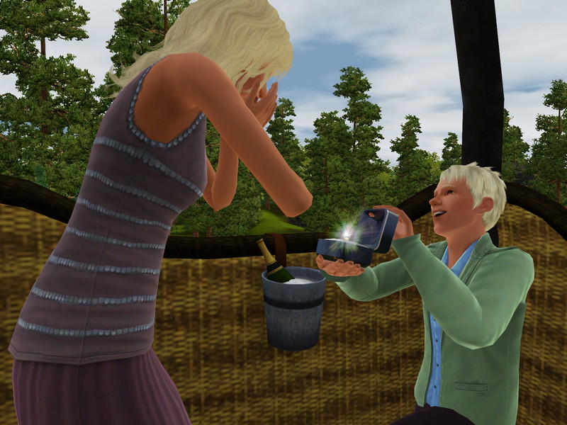The Sims 3: Aurora Skies - screenshot 3