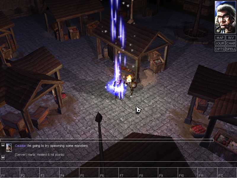 Neverwinter Nights - screenshot 1