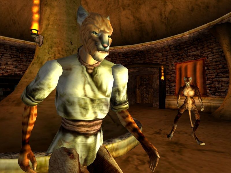 The Elder Scrolls 3: Morrowind - screenshot 42