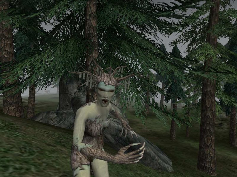 The Elder Scrolls 3: Bloodmoon - screenshot 6