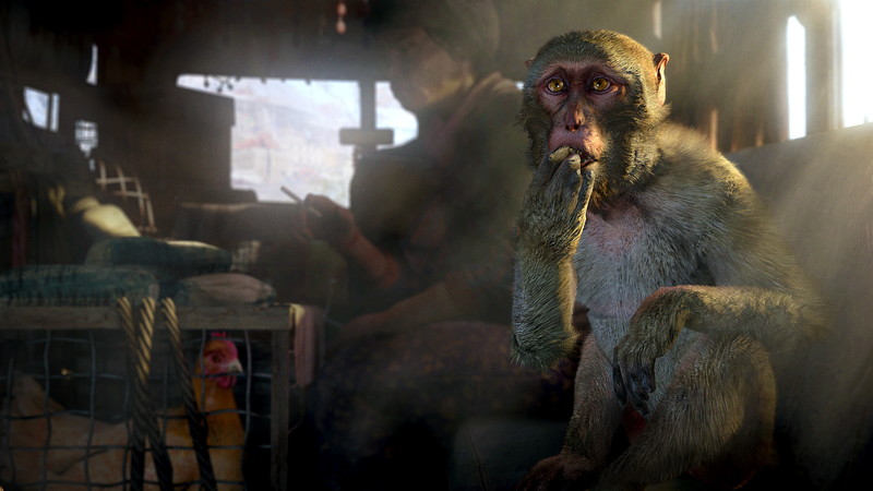 Far Cry 4 - screenshot 24