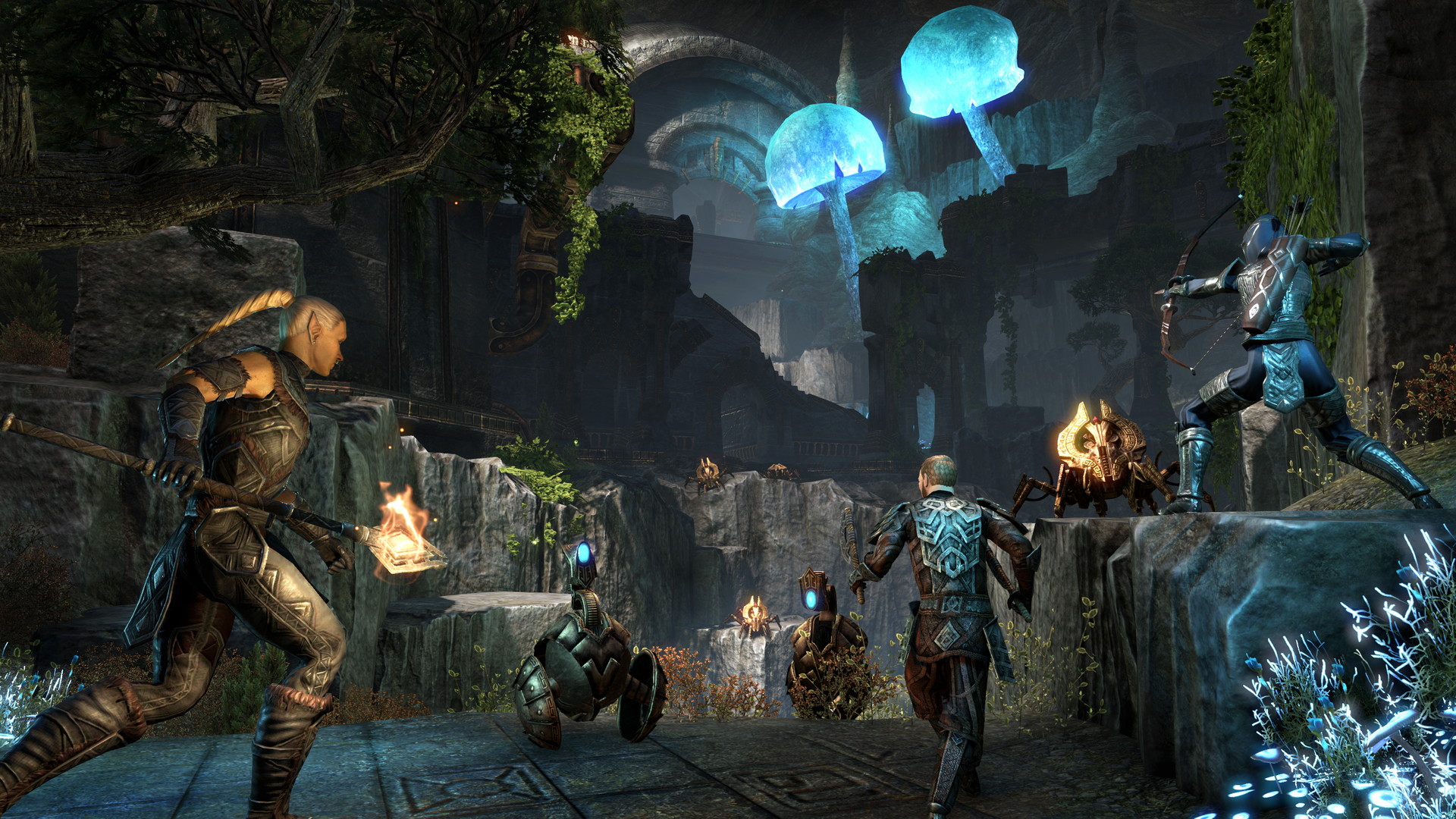 The Elder Scrolls Online: Tamriel Unlimited - Orsinium - screenshot 8
