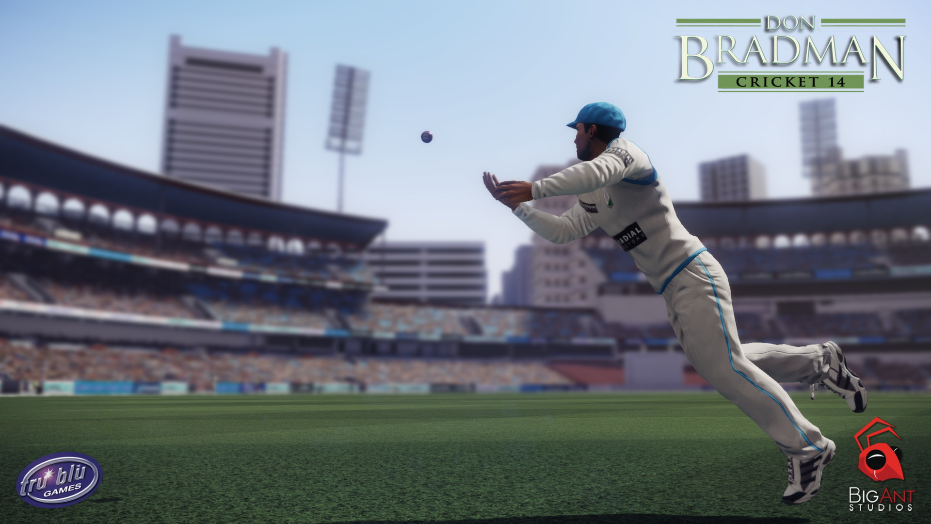 Don Bradman Cricket 14 - screenshot 3