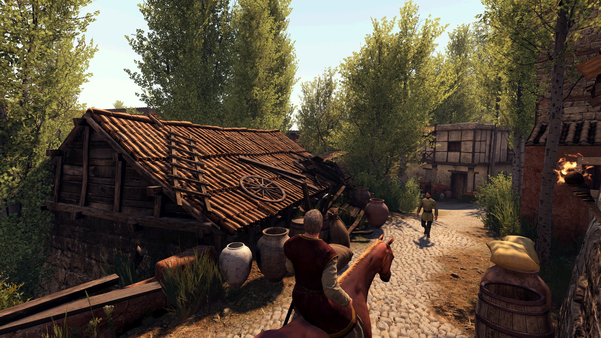 Mount & Blade II: Bannerlord - screenshot 13