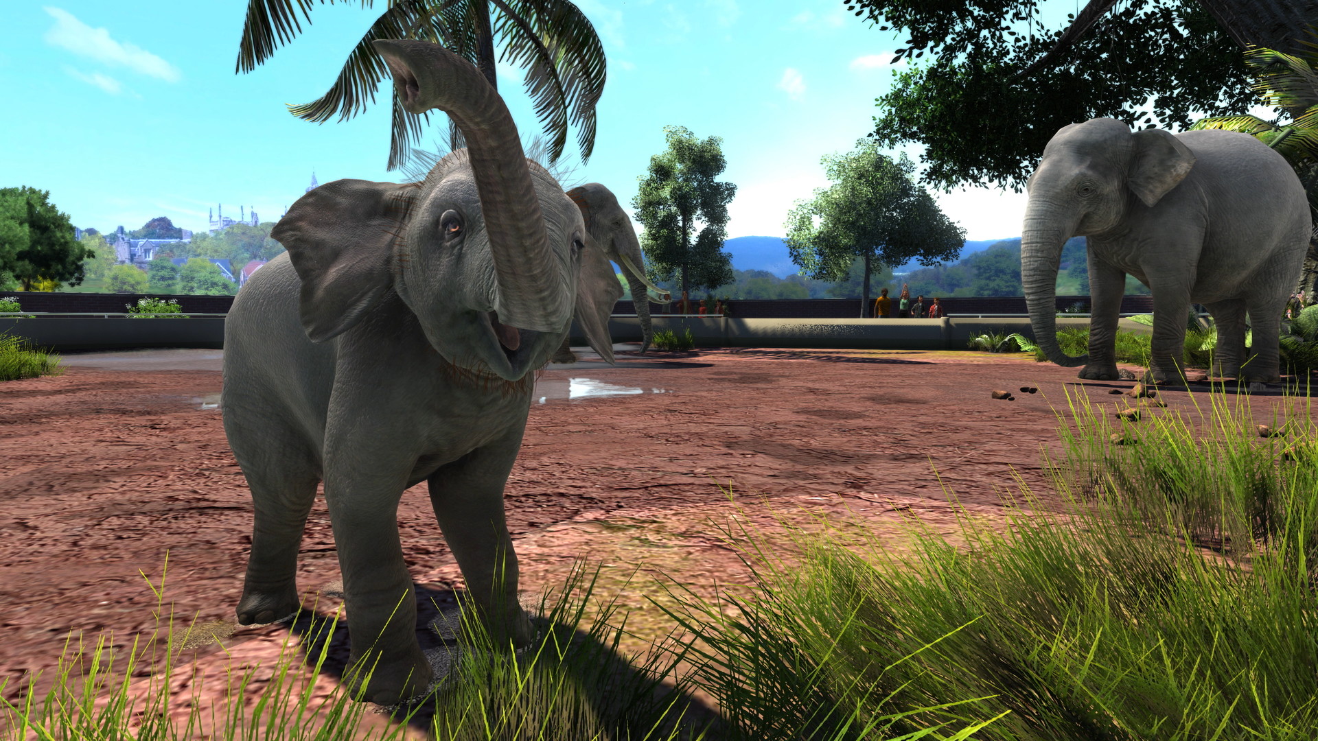 Zoo Tycoon: Ultimate Animal Collection - screenshot 5