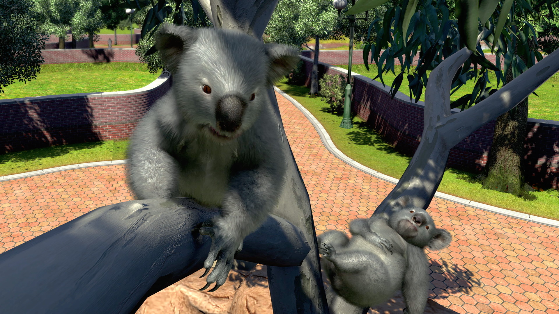 Zoo Tycoon: Ultimate Animal Collection - screenshot 3