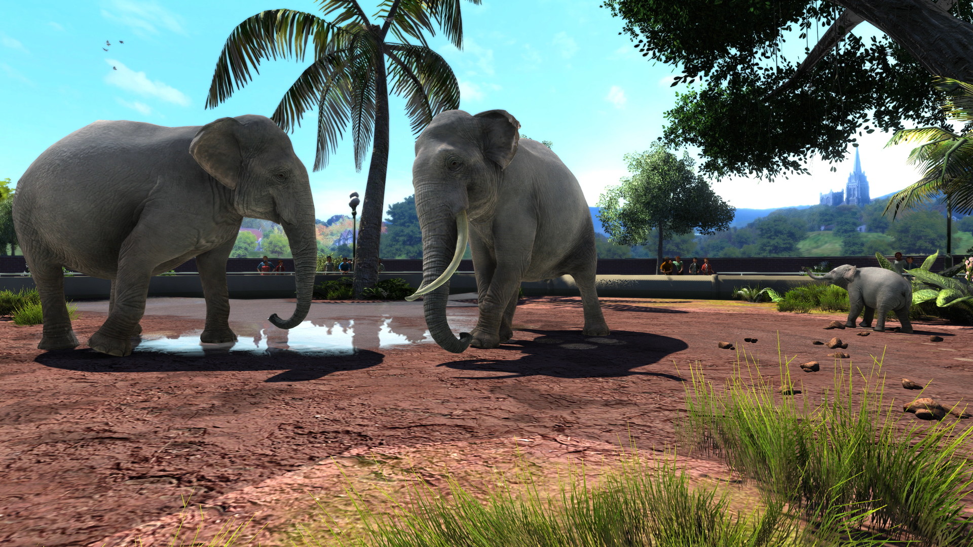 Zoo Tycoon: Ultimate Animal Collection - screenshot 1
