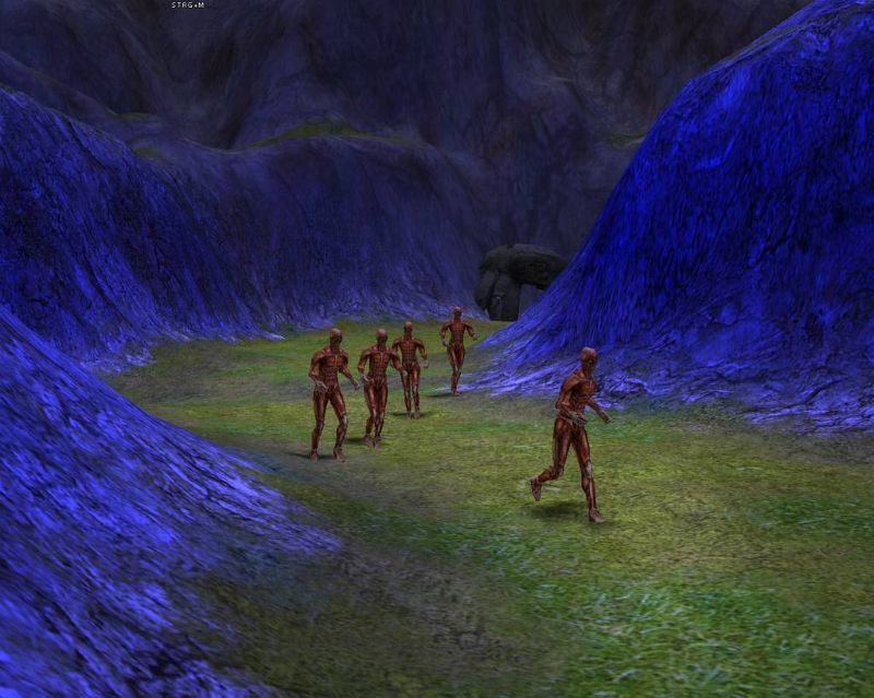 SpellForce: The Shadow of the Phoenix - screenshot 6
