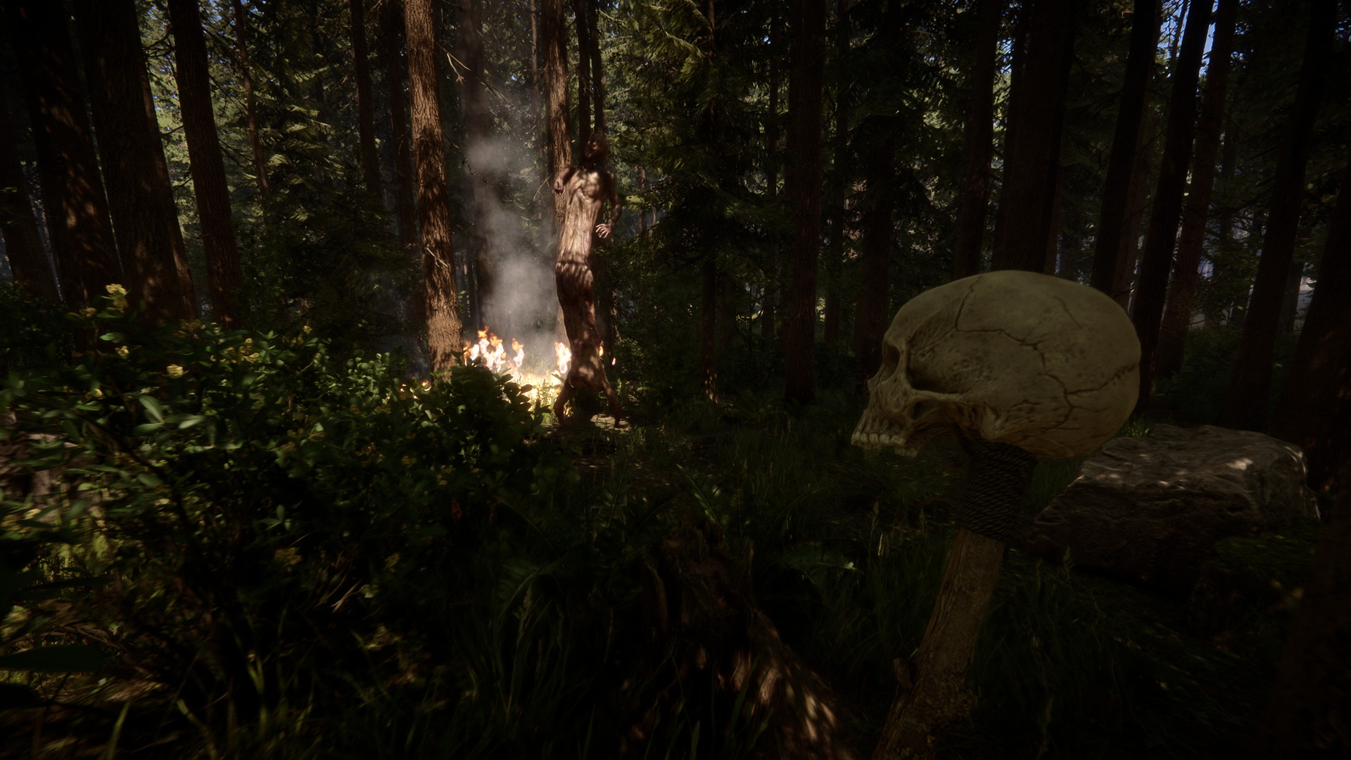 Sons of the Forest - screenshot 4