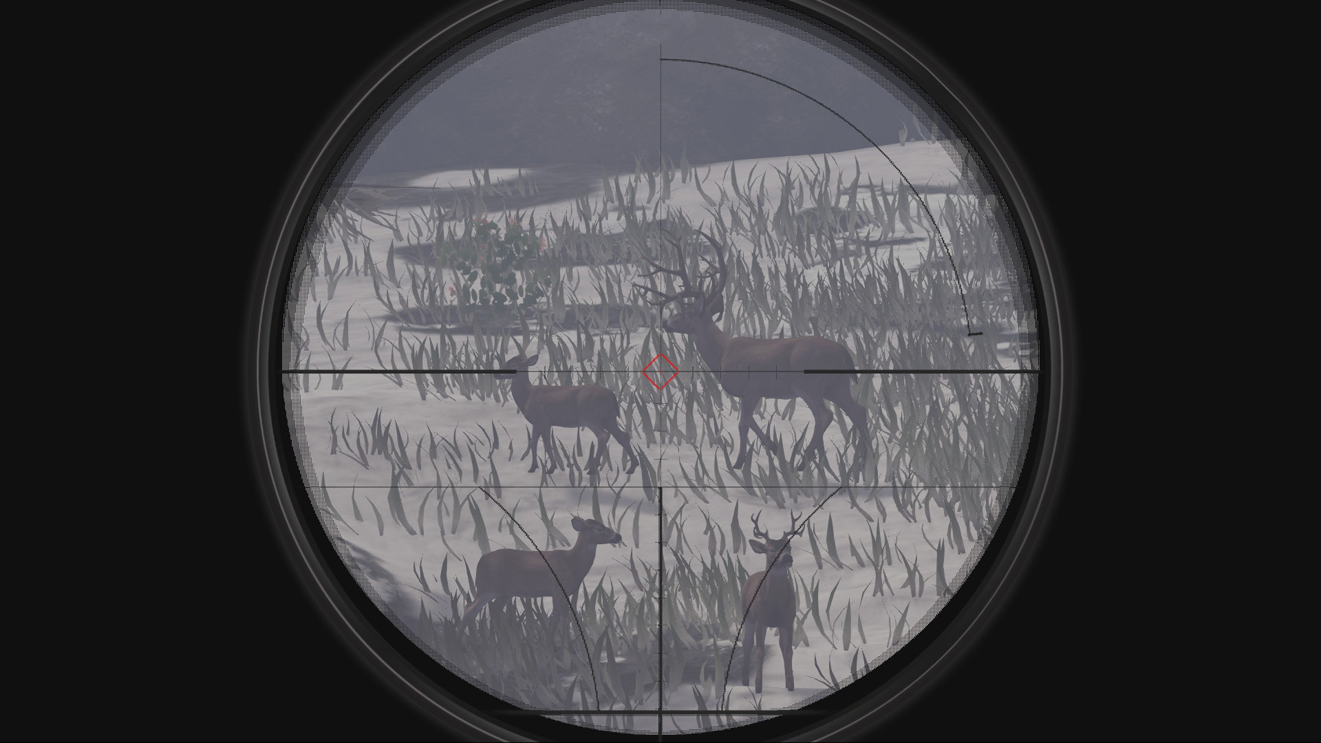 Deer Hunter: Reloaded - screenshot 10