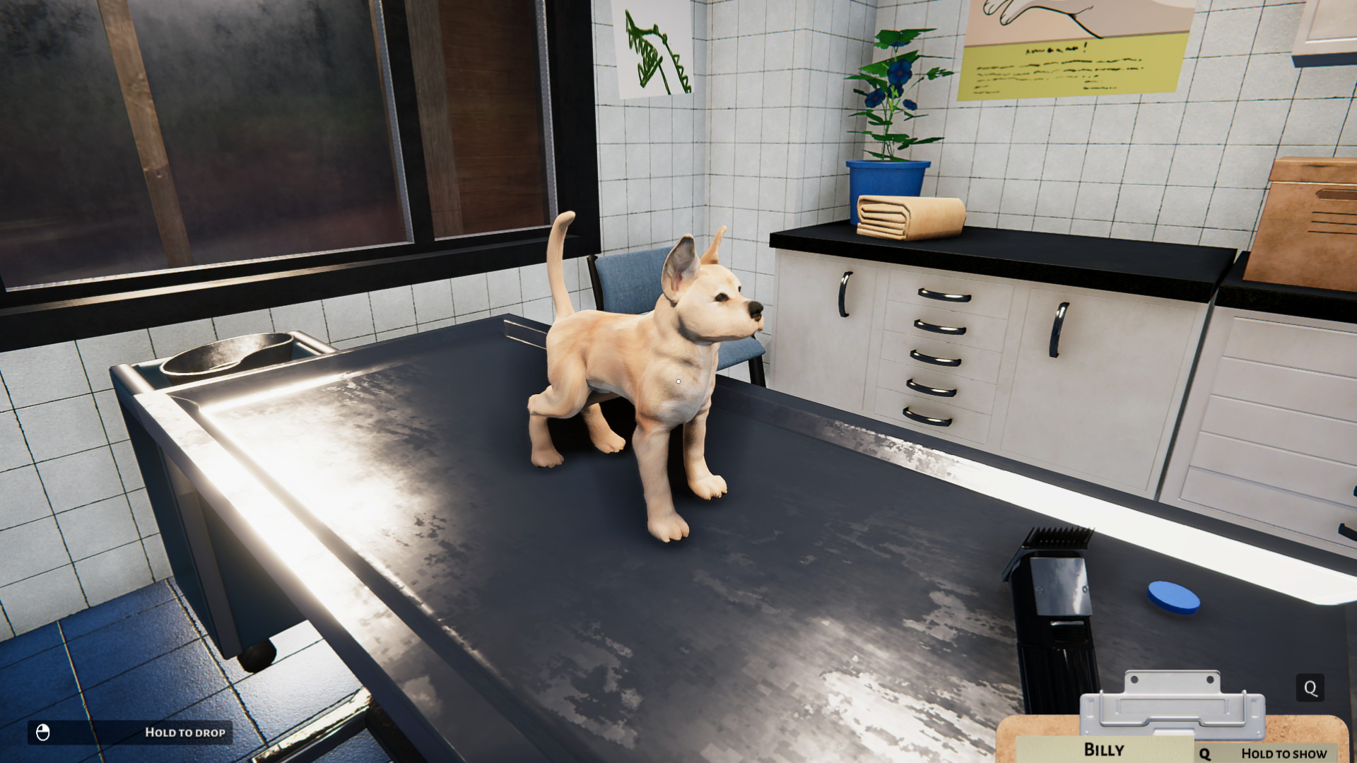Animal Shelter - Puppies & Kittens - screenshot 9