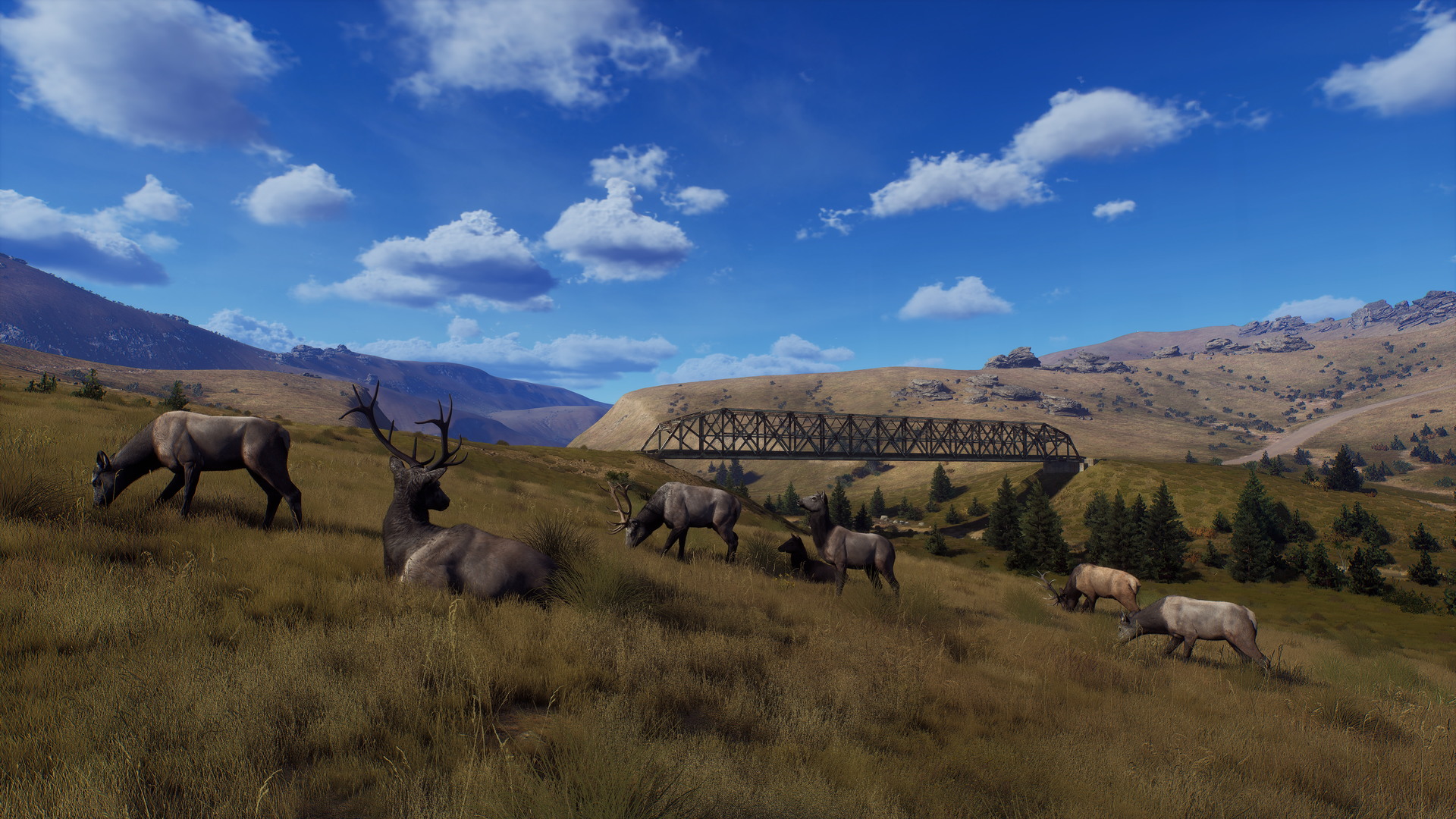 Way of the Hunter: Matariki Park - screenshot 12