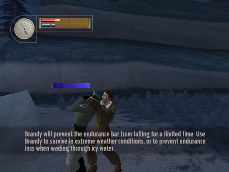 Pilot Down: Behind Enemy Lines - screenshot 45