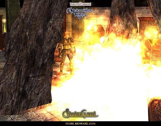 Neverwinter Nights: Shadow Guard MOD - screenshot 2
