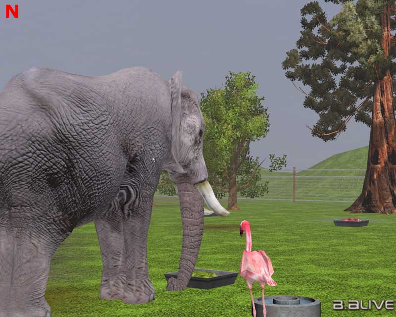Wildlife Park 2 - screenshot 96